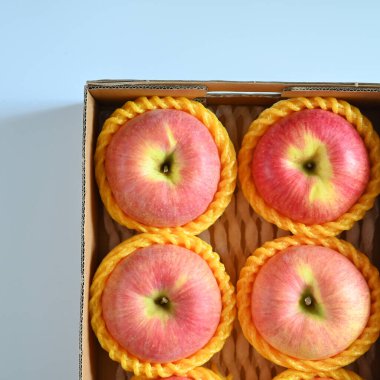 beautiful pink apple in the box on blue background