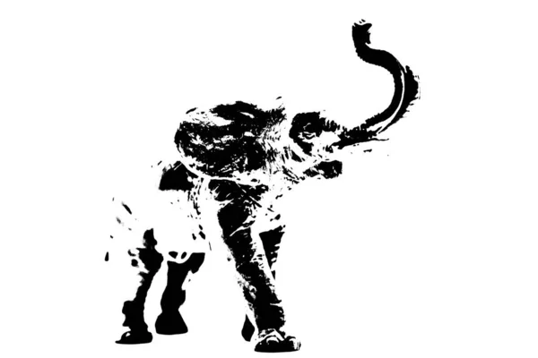 Sziluett Elefánt Modell Stand Elszigetelt Fehér Háttér — Stock Fotó