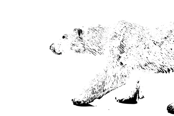 Sziluett Nagy Medve Modell Stand Elszigetelt Fehér Háttér — Stock Fotó
