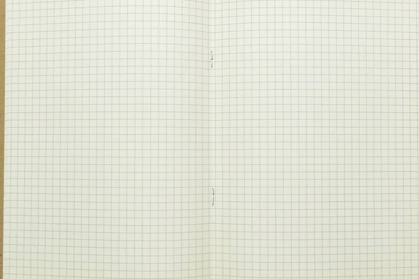 Horní Pohled Obrázek Otevřeného Plánovače Notebooku Prázdnou Stránkou Linkované Papírové — Stock fotografie