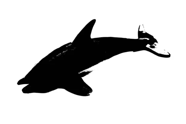Silueta Negra Delfín Aislado Sobre Fondo Blanco Criatura Marina — Foto de Stock