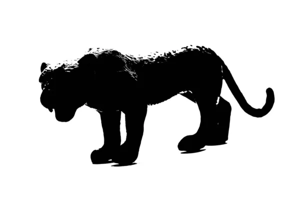 Silhouette Lioness Model Stand White Background — Stock Photo, Image
