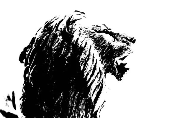 Silhouette Eines Männlichen Löwen Auf Weißem Hintergrund — Stockfoto