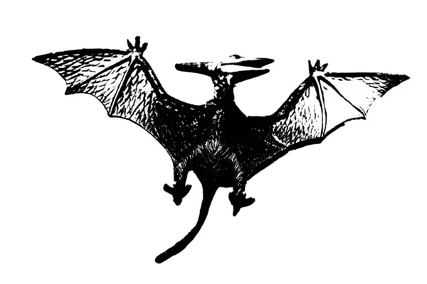 Силуэт Черного Динозавра Выделенный Белом Фоне Модель Игрушек Птеранодона — стоковое фото