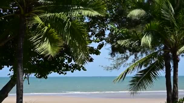 Blick Auf Tropischen Strand Durch Kokospalmen Sonnigen Tagen Palmen Flattern — Stockvideo
