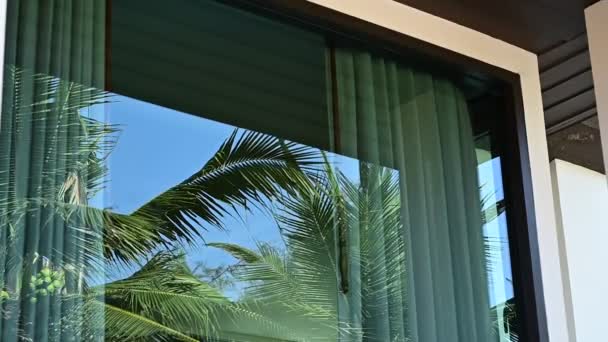 Palma Kokosowa Odbijająca Się Szkle Okna Spowolnienie Naturalna Scena Wiejącym — Wideo stockowe
