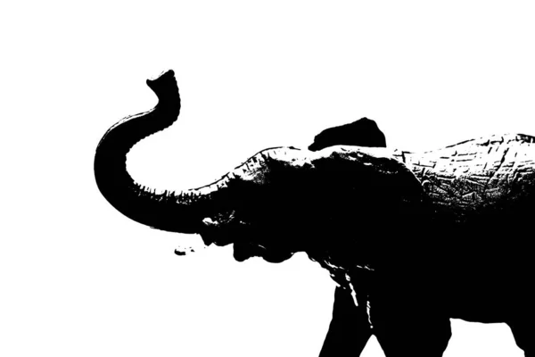 Σιλουέτα Του Μοντέλου Ελέφαντα Σταθεί Απομονωμένο Λευκό Φόντο — Φωτογραφία Αρχείου