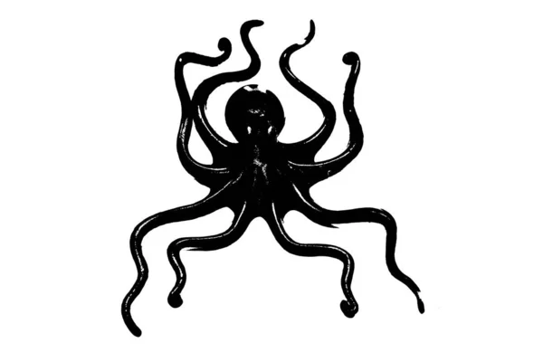 无脊椎动物 在白色背景上分离的章鱼黑色轮廓 — 图库照片
