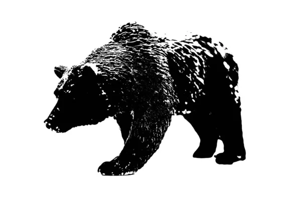 Silhouette Des Großen Bären Modell Stehen Isoliert Auf Weißem Hintergrund — Stockfoto