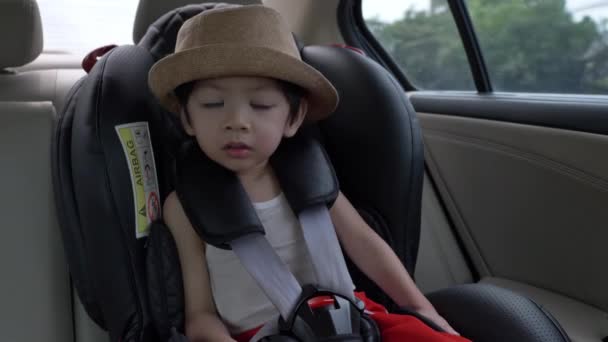 Lindo Niño Usar Sombrero Sentado Asiento Seguridad Del Coche Mirando — Vídeo de stock