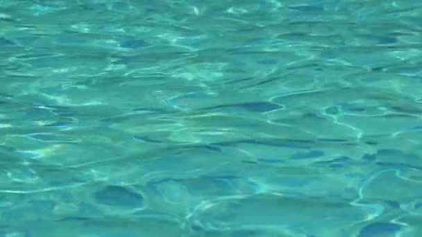 水波缓慢地在蓝色游泳池上运动 美丽的游泳池纹理背景 — 图库视频影像