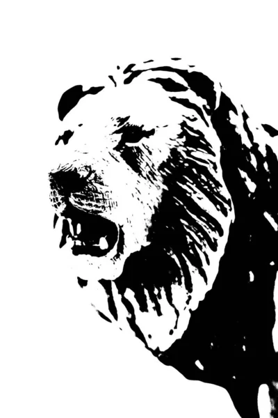 Silhouette Eines Männlichen Löwen Auf Weißem Hintergrund — Stockfoto
