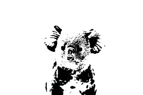 Silueta Soporte Modelo Koala Aislado Sobre Fondo Blanco — Foto de Stock
