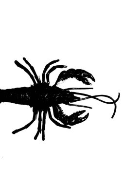 Beyaz arka planda izole edilmiş ıstakoz karidesi silueti, omurgasız hayvan