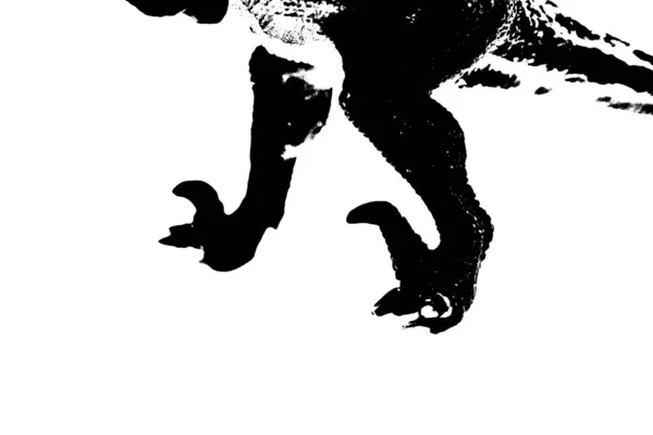 Silueta Dinosaurio Negro Aislado Sobre Fondo Blanco Modelo Juguetes Dinosaurios —  Fotos de Stock
