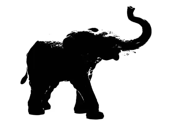 Σιλουέτα Του Μοντέλου Ελέφαντα Σταθεί Απομονωμένο Λευκό Φόντο — Φωτογραφία Αρχείου