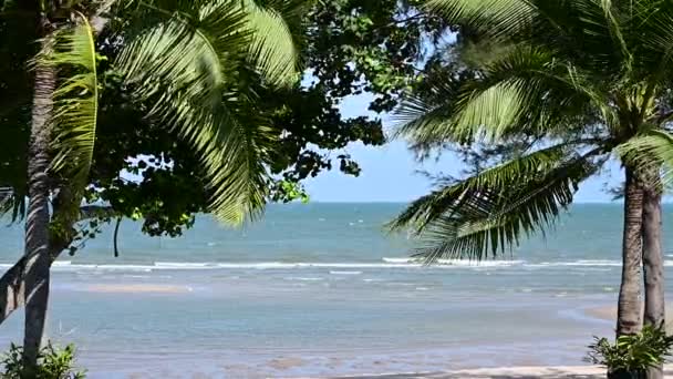 Vista Della Spiaggia Tropicale Attraverso Noce Cocco Nella Giornata Sole — Video Stock