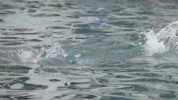 Yaz Tatilinin Tadını Çıkaran Bir Çocuk Yüzme Havuzunda Yüzen Mutlu — Stok video