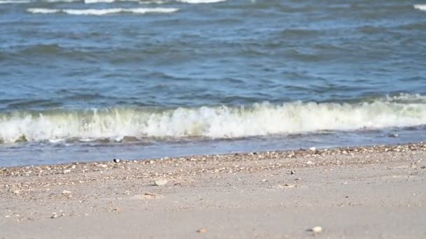 Zeitlupenszene Schöne Aussicht Sandstrand Der Meeresküste — Stockvideo