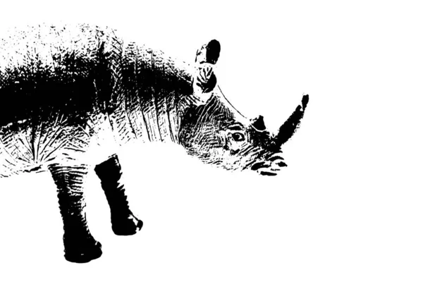 Σιλουέτα Σταντ Μοντέλο Ρινόκερου Απομονωμένο Λευκό Φόντο — Φωτογραφία Αρχείου