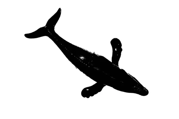 Černá Silueta Ryb Ploutví Ocasem Izolované Bílém Pozadí — Stock fotografie