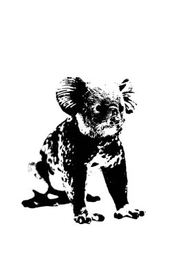 Beyaz arkaplanda izole edilmiş koala modeli silueti