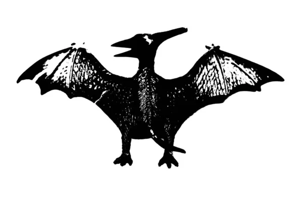 Μαύρη Σιλουέτα Δεινοσαύρων Απομονωμένη Λευκό Φόντο Μοντέλο Παιχνιδιών Pteranodon — Φωτογραφία Αρχείου