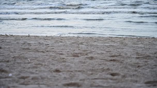 缓慢的海浪在海面和沙滩上荡漾 美丽的自然背景 — 图库视频影像