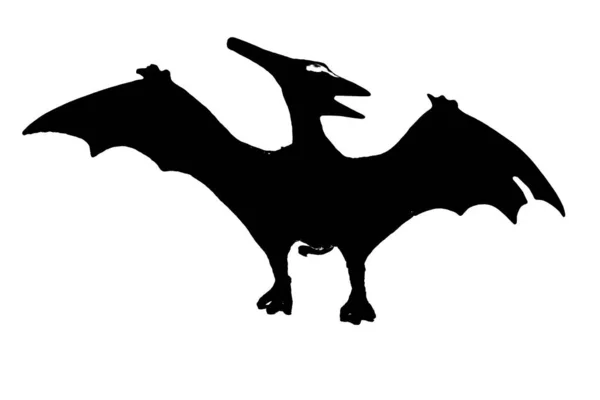 Zwart Dinosaurus Silhouet Geïsoleerd Witte Achtergrond Model Van Pteranodon Speelgoed — Stockfoto