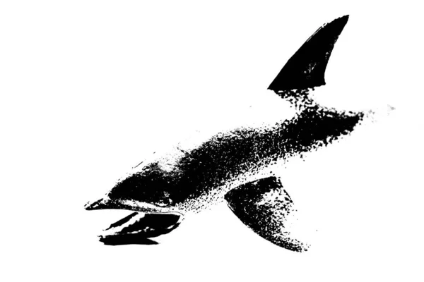 Černá Silueta Delfína Izolované Bílém Pozadí Mořské Stvoření — Stock fotografie