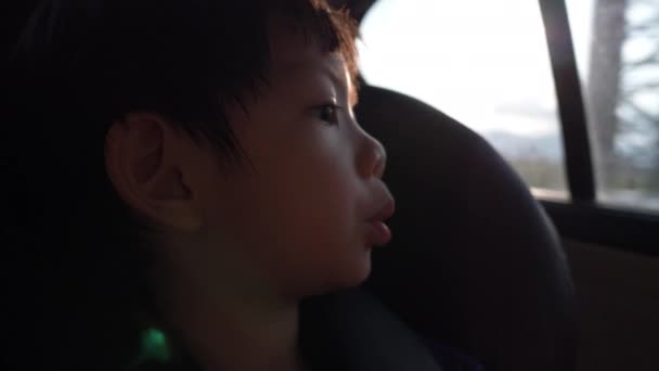Piccolo Bambino Seduto Nel Seggiolino Auto Sicurezza Guardando Fuori Dal — Video Stock