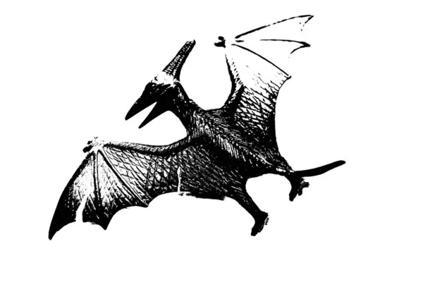 Zwart Dinosaurus Silhouet Geïsoleerd Witte Achtergrond Model Van Pteranodon Speelgoed — Stockfoto