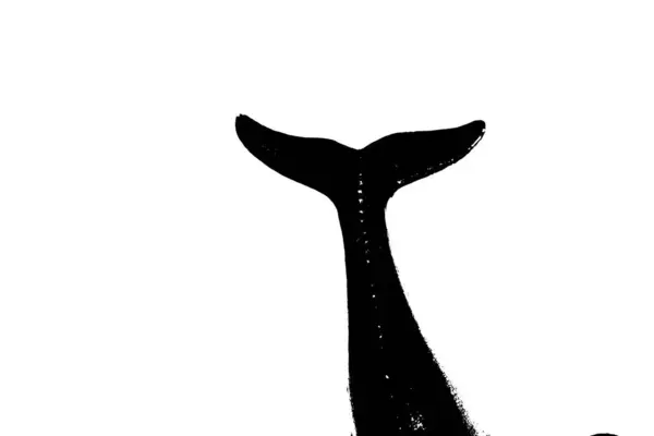 白色背景的鱼尾巴隔离的黑色轮廓 — 图库照片