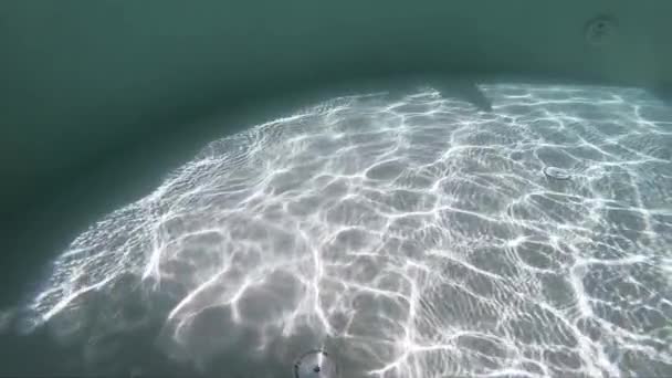 Yüzme Havuzunun Sualtı Görüntüsü Güneş Işınları Yavaş Çekim Sahnesinden Geçiyor — Stok video