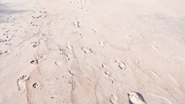 Fotavtryck Turist Sandstrand Naturlig Struktur Bakgrund — Stockvideo