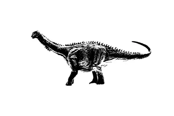 Silueta Dinosaurio Negro Aislado Sobre Fondo Blanco Modelo Juguetes Dinosaurios — Foto de Stock