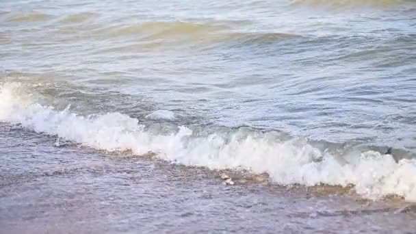 Wolna Scena Ruchu Piękny Widok Piaszczysta Plaża Fala Wody Plastikowych — Wideo stockowe