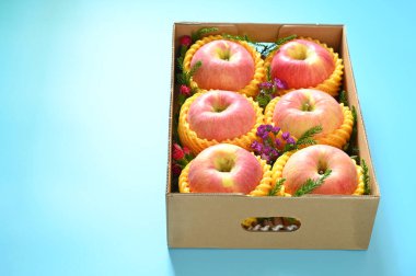 beautiful pink apple in the box on blue background