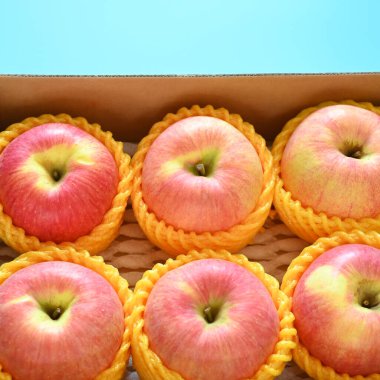 beautiful pink apple in the box on blue background