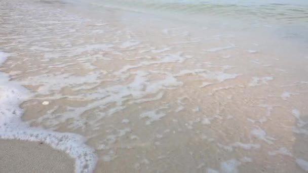 Όμορφη Πεντακάθαρη Αμμουδιά Κύμα Τοπίο Σκηνή Του Νησιού — Αρχείο Βίντεο