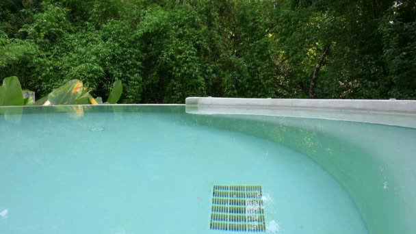 緑の木が付いている庭の美しいプール — ストック動画