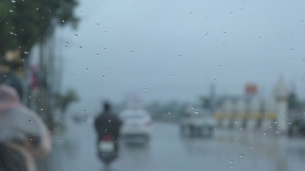 車は雨の日に道路を運転しています — ストック動画