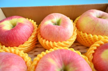 beautiful pink apple in the box on blue background