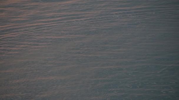 Deniz Manzaralı Yüzeyi Akşam Altın Rengi Günbatımı Doğal Arka Plan — Stok video