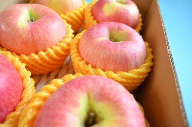 beautiful pink apple in the box on blue background