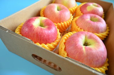 beautiful pink apple in the box on blue background