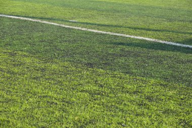 Yapay yeşil çimen çimenlik futbol sahası. Siyah plastik tanecikli.