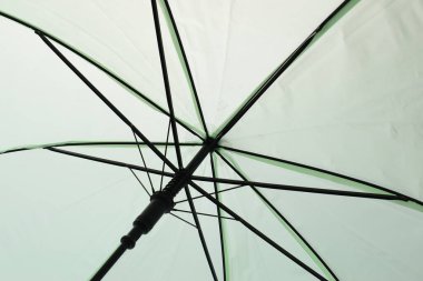 Açık yeşil şemsiye arkaplan yüzeyi