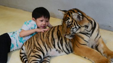 Mutlu şirin çocuk hayvanat bahçesinde kaplan yavrusuna sarıl
