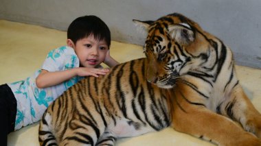 Mutlu şirin çocuk hayvanat bahçesinde kaplan yavrusuna sarıl